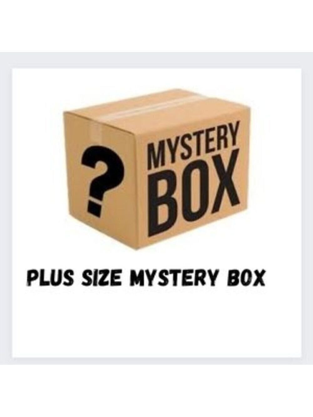 Women’s Seasonal Mystery Box Plus Size Clothing Variety Bundle